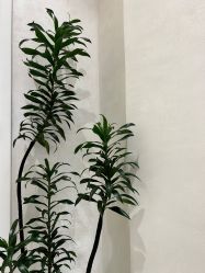 -和颜一美轻医美连锁