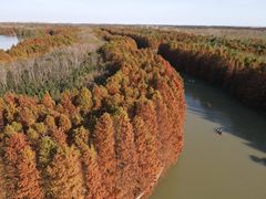 -上海海湾国家森林公园