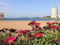 -青岛第二海水浴场
