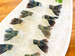 -美未居·老字号·地道顺德菜·桑拿鸡·鱼生(容桂店)