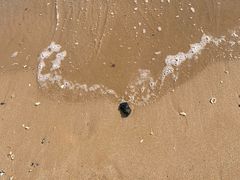 -日照灯塔风景区