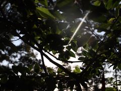 -安溪清水岩