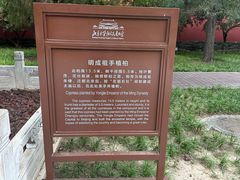 -北京市劳动人民文化宫(太庙)