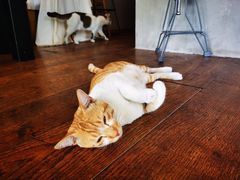 -251#coffee roasters(沿河东路店)