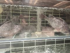 -浩运海鲜·16年专注青岛菜(石老人店)