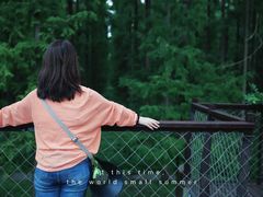 -黄海国家森林公园