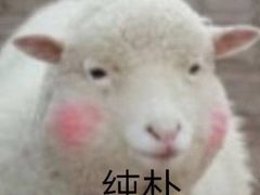 -茉沏(万科美好广场店)