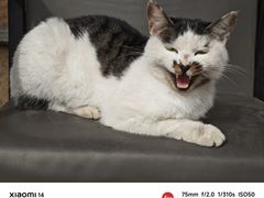 -临潼印象·特色陕菜