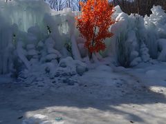 -青峰峡国家森林公园