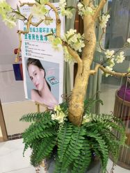 点击看大图 -芳朵美容养生SPA