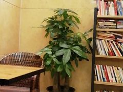 -维也纳酒店(深圳机场店)