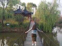 -南汇水蜜桃采摘(大团店)