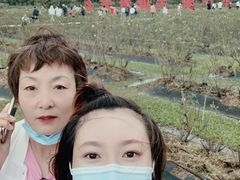 -亚龙湾国际玫瑰谷