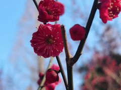 -宝岩生态观光园