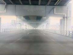 -星海湾跨海大桥