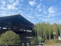 -大唐贡茶院