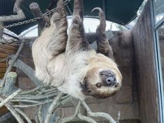 -西霞口神雕山野生动物世界