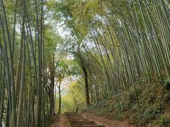 -西湖风景区十里琅珰-五云山