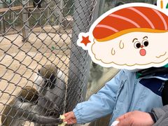 -安徽大青山野生动物世界