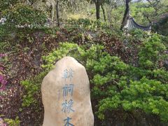 -韩文公祠