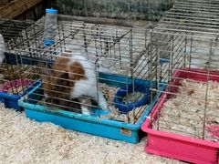 -上海大自然野生昆虫馆(东方明珠·爬宠昆虫探索中心)