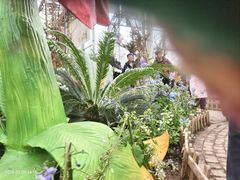 -沈阳植物园