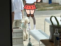 -小意思咖啡店(草桥店)