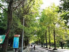 -四川大学(望江校区)