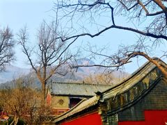 -泰山风景名胜区-普照寺