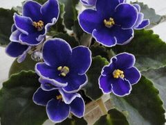 -长春公园(普阳街道)