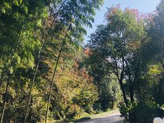 -黄公望隐居地