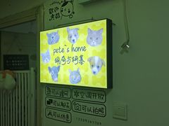 -我爱猫咪·猫咖·狗咖·安哥拉兔·羊驼咖(小寨华旗店)