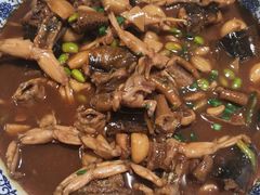 -呼吸森林·生态农庄农家乐私房菜