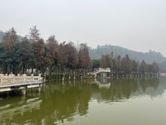 -顺峰山公园
