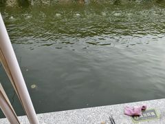 -DGE季风钓虾营地·团建·聚会