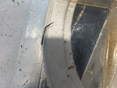 -陈伍记烧腊店(钟村店)