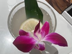 -芽笼芽笼新加坡餐厅(环球港店)