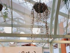 -Seesaw Coffee(上海太阳宫K46店)
