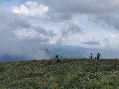 -白草畔自然风景区