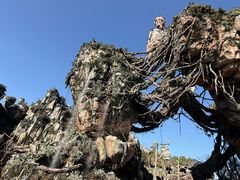 -奥兰多迪士尼动物王国乐园