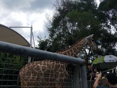 -泉州海丝野生动物世界