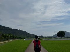 -艾米稻香小镇