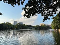 -荔湾湖公园