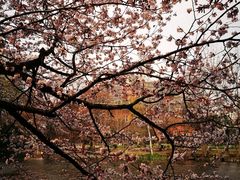 -北海道厅旧本厅舍(旧本庁舎)