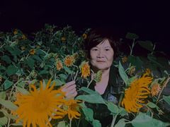 -龙江公园