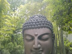 -杭州植物园