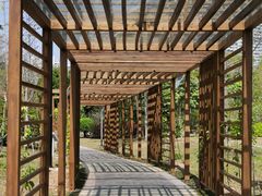 -福田红树林生态公园