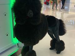 -龙湖南京江北天街