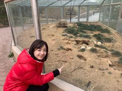 -青岛森林野生动物世界