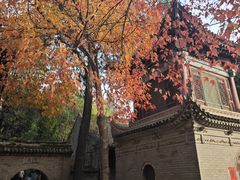 -兴教寺